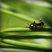 /album/klasliphepers/photolia-a05-jpg/