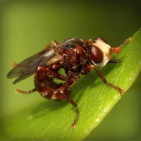 /album/klasliphepers/photolia-a06-jpg/